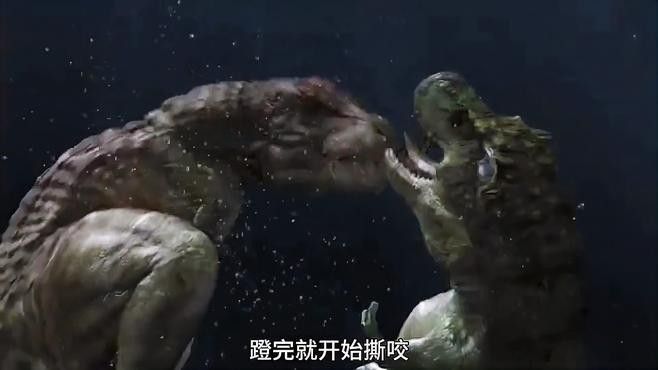 霍夫曼滄龍和海王龍哪個更聰明？