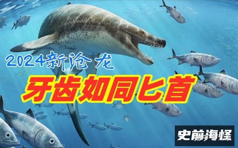 霍夫曼滄龍和海王龍哪個更聰明？