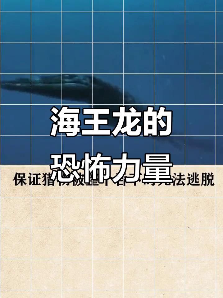 霍夫曼滄龍和海王龍哪個更聰明？