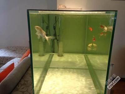 龍魚論壇24小時滴流換水好嗎：24小時滴流換水是一種常用于龍魚養殖的換水方式