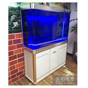 大型龍魚缸過濾（大型龍魚缸過濾系統(tǒng)的設計和使用）