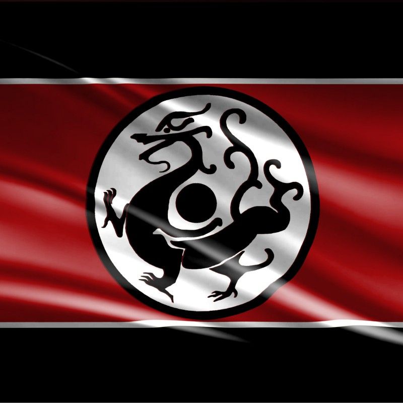 能詳細(xì)說(shuō)說(shuō)黑龍旗的歷史背景嗎？