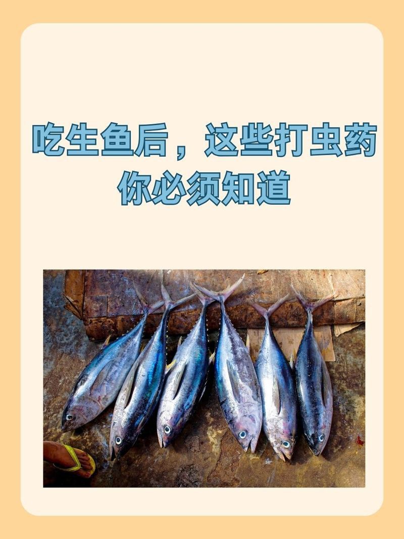 吡喹酮對龍魚安全嗎？