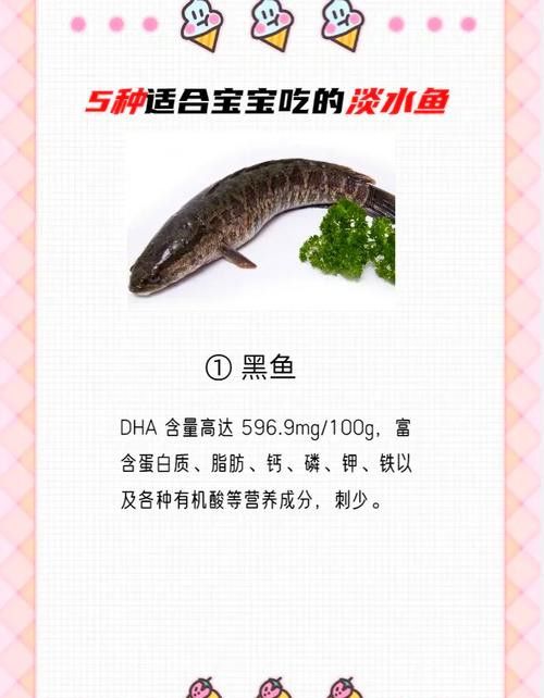 烏魚跟龍魚的區別是什么