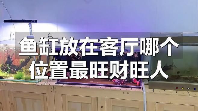 龍魚缸放在客廳什么位置最好
