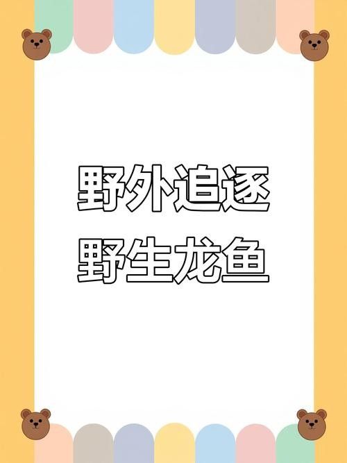 龍魚哪里有釣