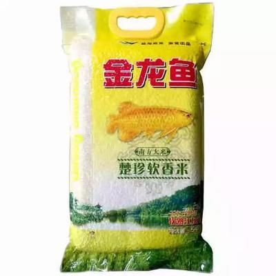 金龍魚進貨價：金龍魚進貨價的詳細解析