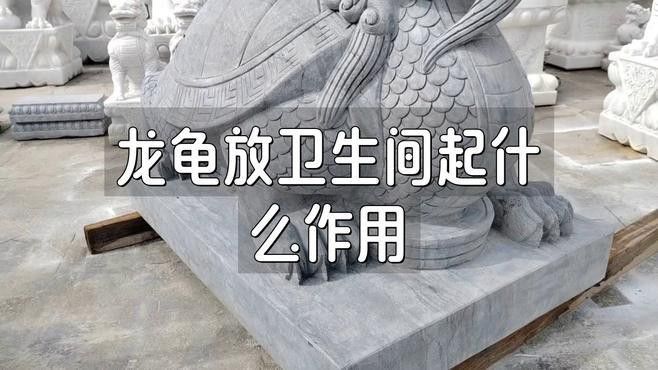 龍龜在衛生間擺放有哪些講究？ 龍龜在衛生間擺放有哪些講究？ 龍魚百科 第3張