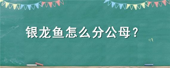 七彩銀龍魚怎么分公母：七彩銀龍魚分辨公母可以通過觀察體型、腹鰭、腮部和腹部等特征來判斷 七彩銀龍魚怎么分公母：七彩銀龍魚分辨公母可以通過觀察體型、腹鰭、腮部和腹部等特征來判斷 龍魚百科 第2張