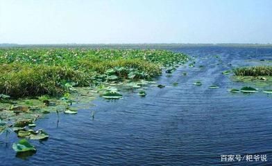 龍魚(yú)在一個(gè)地方不動(dòng)了什么原因造成的：龍魚(yú)在一個(gè)地方不動(dòng)了，原因分析與解決方法