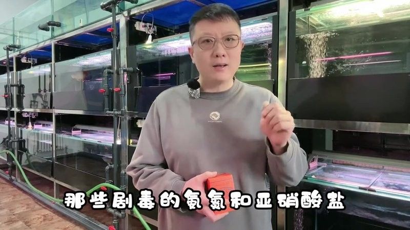 龍魚(yú)對(duì)黃粉敏感應(yīng)該如何處理？