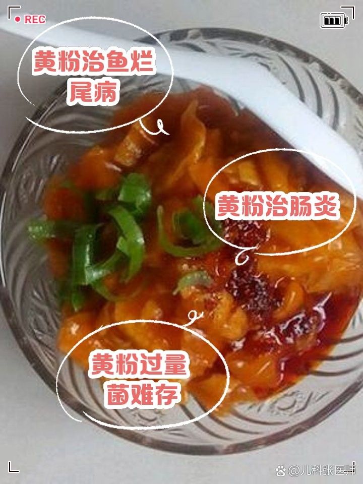 龍魚對黃粉敏感應該如何處理？