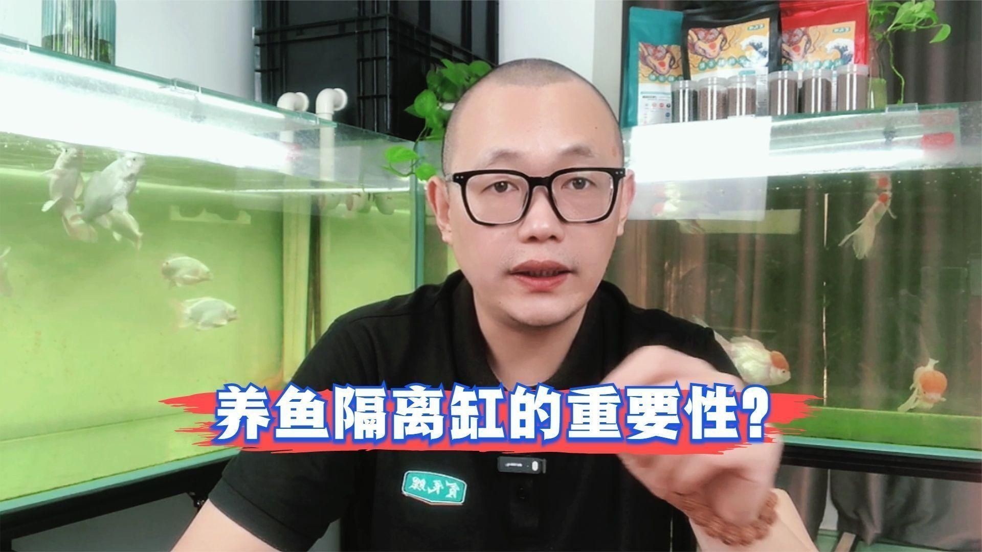 魚受傷后需要隔離嗎？