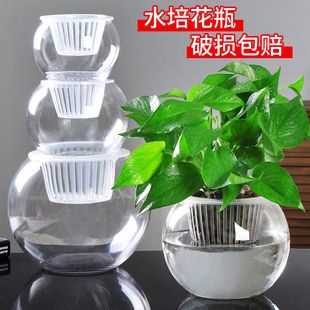 形水魚缸的創始人及家庭背景介紹
