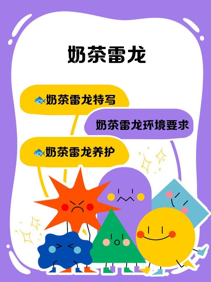 曼龍魚和奶茶雷龍哪個更好養？