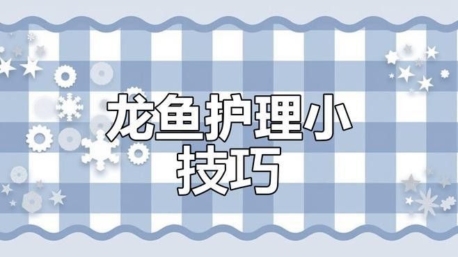 龍魚炸鱗潰爛如何預防復發？