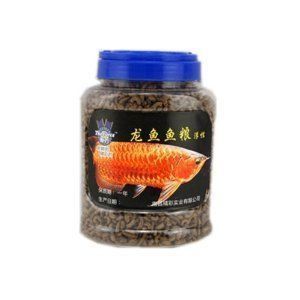 一米的水族缸可以養金龍魚嗎？：一米以上的魚缸可以養金龍魚嗎360問答