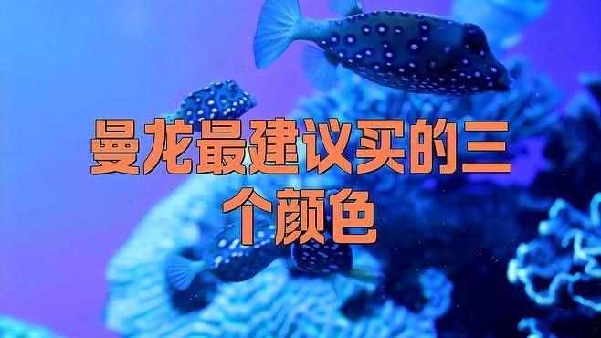 藍曼龍魚和黃曼龍魚的區別