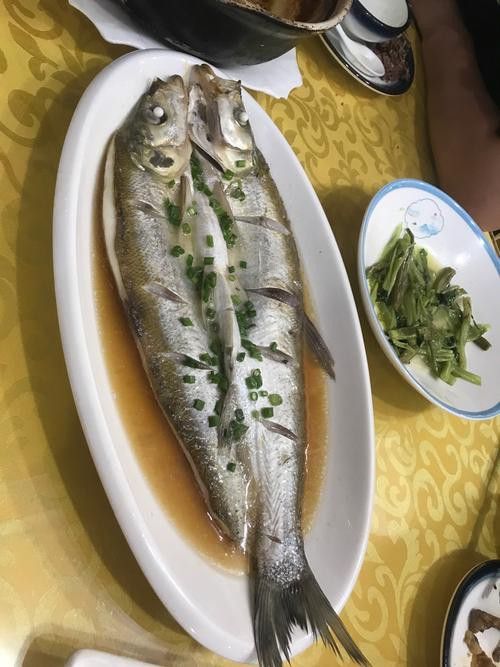 白龍魚價格多少錢一條圖片大全