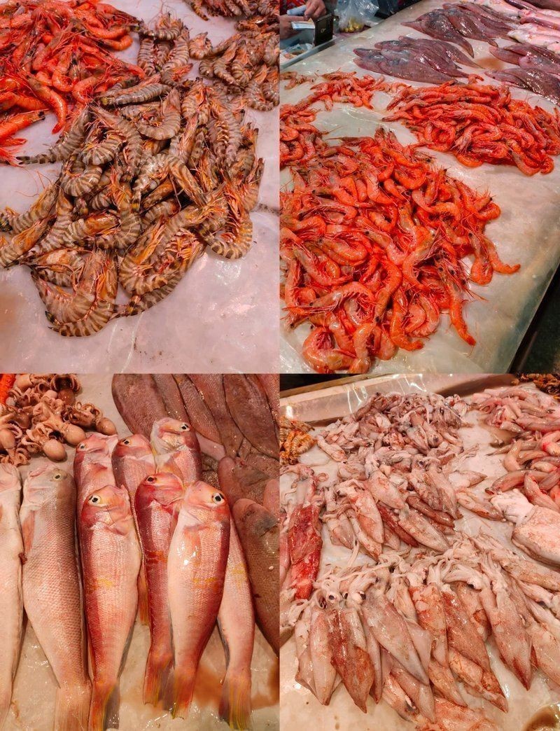 老虎魚價格一覽表 龍魚百科 第5張 老虎魚價格一覽表 老虎魚價格一覽表 龍魚百科 第5張