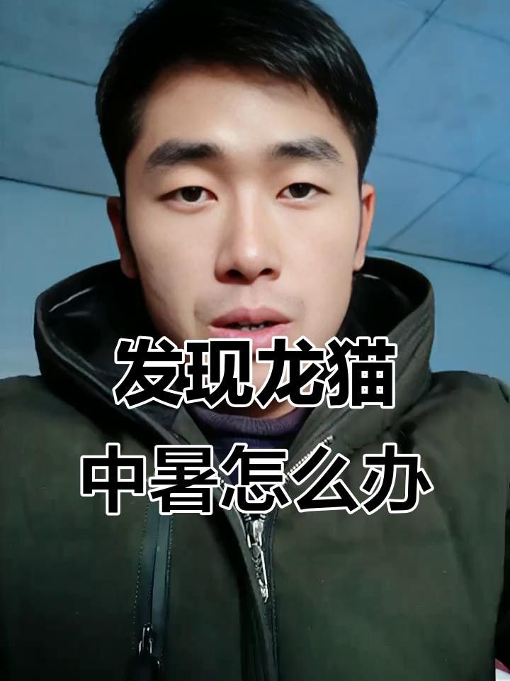 如何預防龍貓中暑？ 如何預防龍貓中暑？ 龍魚百科 第8張