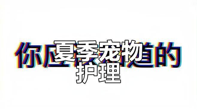 如何預防龍貓中暑？ 如何預防龍貓中暑？ 龍魚百科 第11張