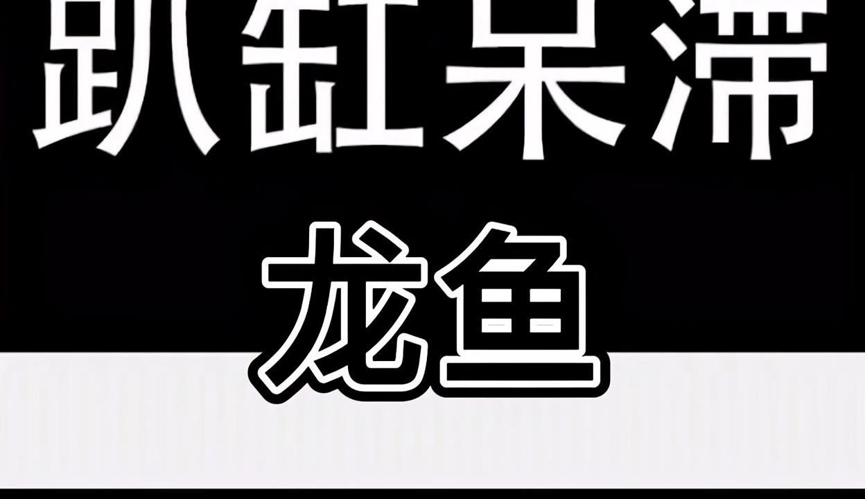 龍魚趴缸人一過去就游起來：龍魚趴缸是一種常見的熱帶魚類，以其優雅的姿態而受到人們喜愛