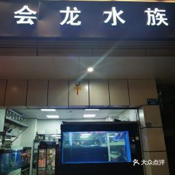 深圳龍魚市場地址在哪里啊