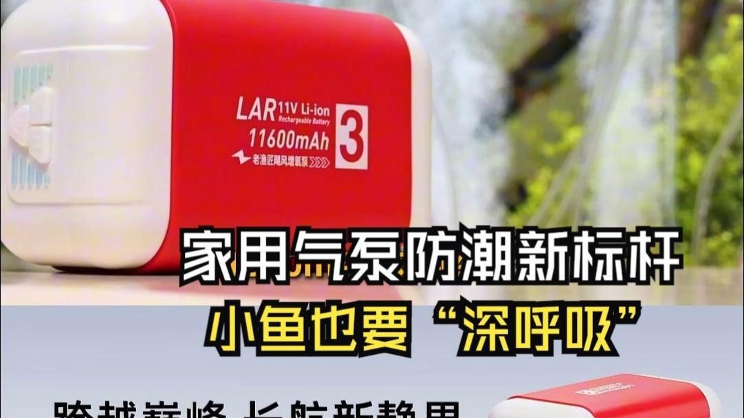 老魚匠的東西怎么樣 老魚匠的東西怎么樣 龍魚百科 第2張