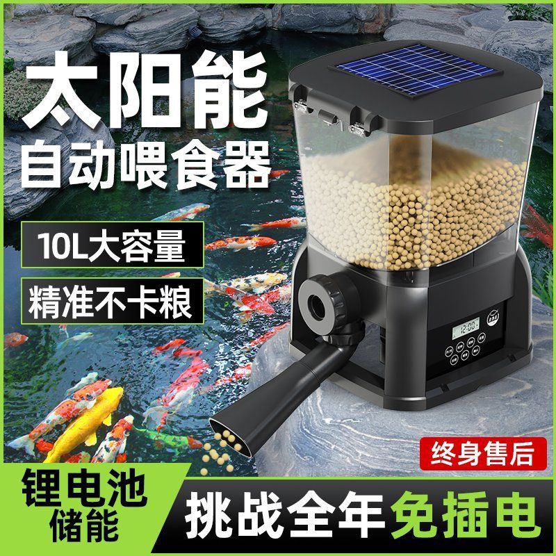 老魚匠的東西怎么樣 老魚匠的東西怎么樣 龍魚百科 第7張
