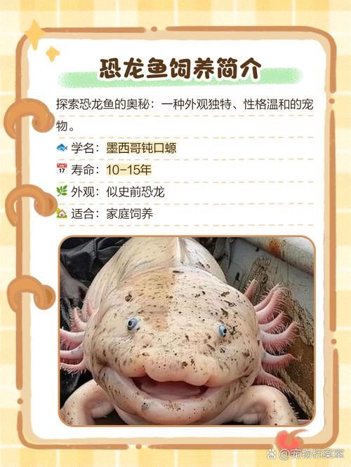 恐龍魚圖片大全大圖欣賞