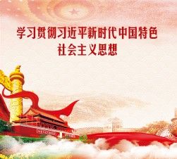 如何預約蘇州金龍的售后服務？ 如何預約蘇州金龍的售后服務？ 龍魚百科 第9張