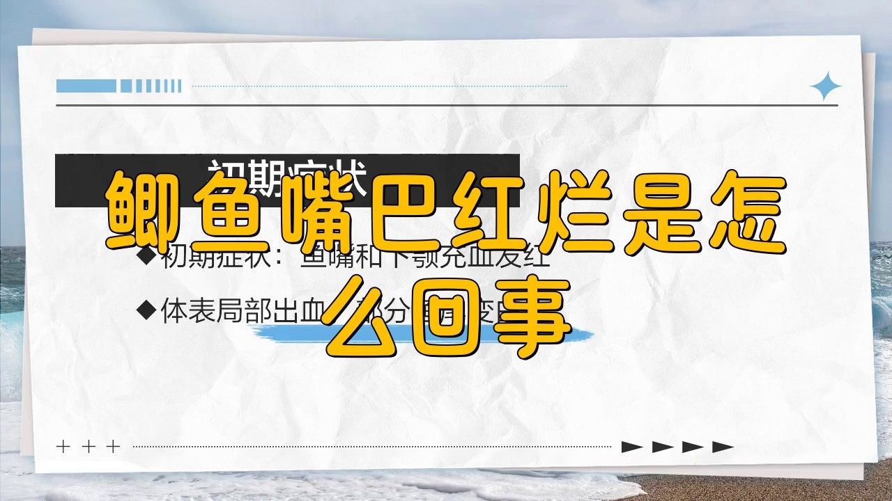 如何改善紅龍魚的嘴唇發色？