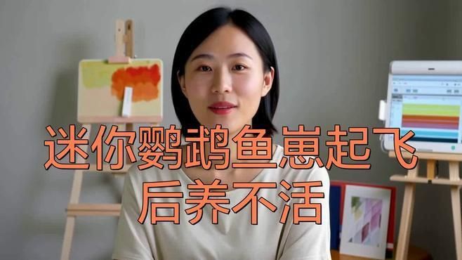 迷你鸚鵡魚幼苗太難養了