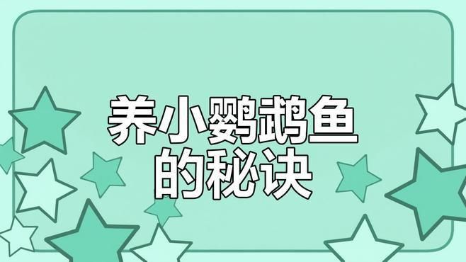迷你鸚鵡魚幼苗太難養了