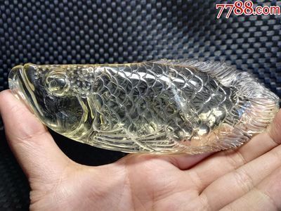 黑金龍魚價格查詢網：對不起，我無法為您提供黑金龍魚實時價格查詢服務