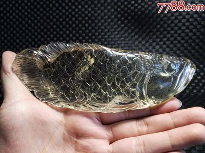 黑金龍魚價格查詢網：對不起，我無法為您提供黑金龍魚實時價格查詢服務