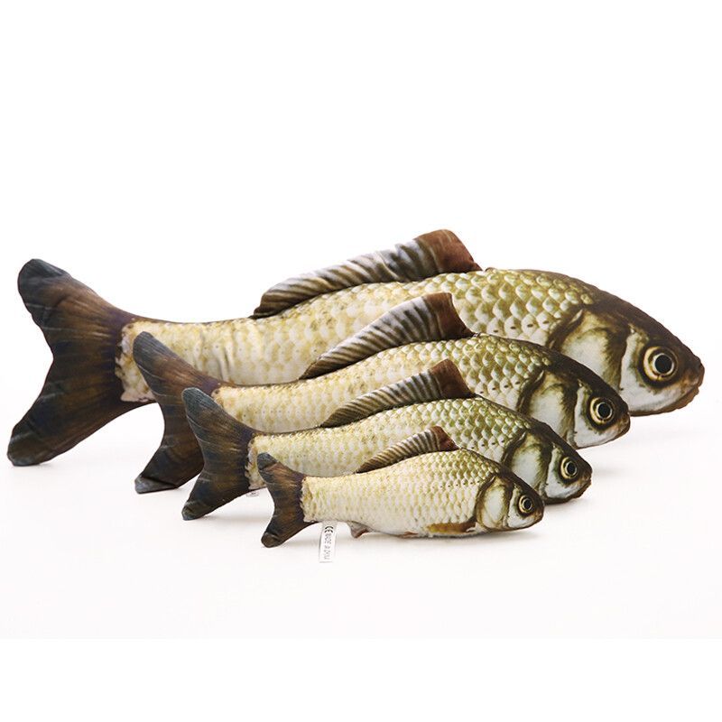 紅龍魚秋天的變化：紅龍魚在秋天會經歷一些生理上的變化 紅龍魚秋天的變化：紅龍魚在秋天會經歷一些生理上的變化 龍魚百科 第1張