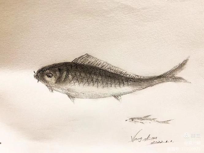 銀龍魚國畫