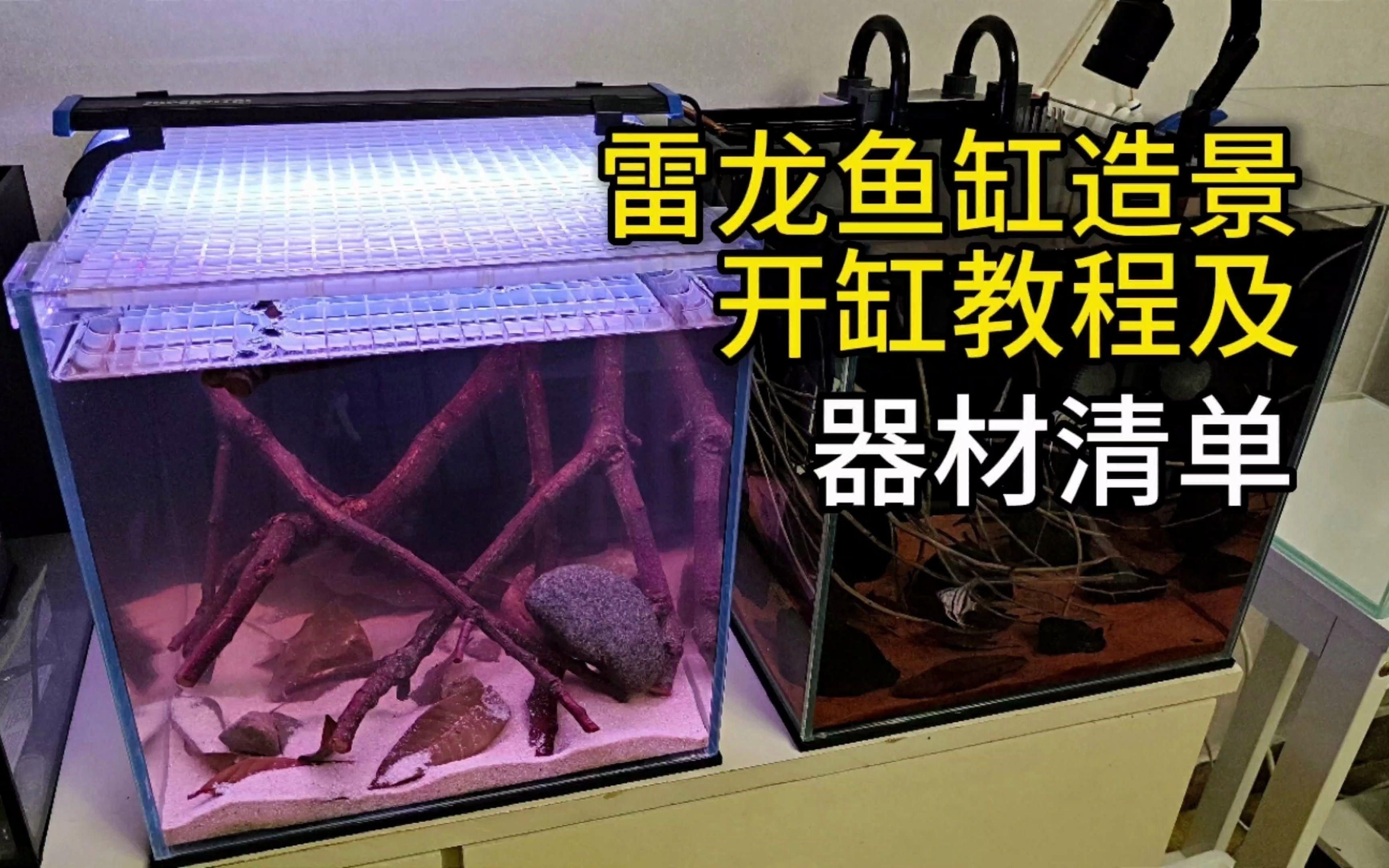 龍魚缸布置需要哪些設備？ 龍魚缸布置需要哪些設備？ 龍魚百科 第2張