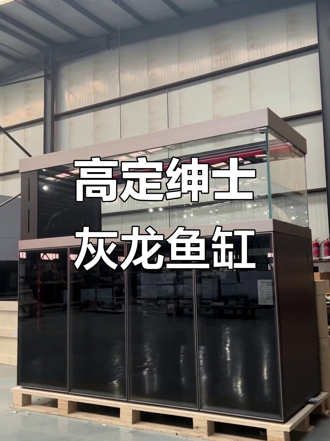 龍魚缸布置需要哪些設備？ 龍魚缸布置需要哪些設備？ 龍魚百科 第5張