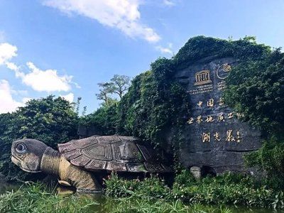 湖光巖龍魚到底是什么：湖光巖龍魚是什么？