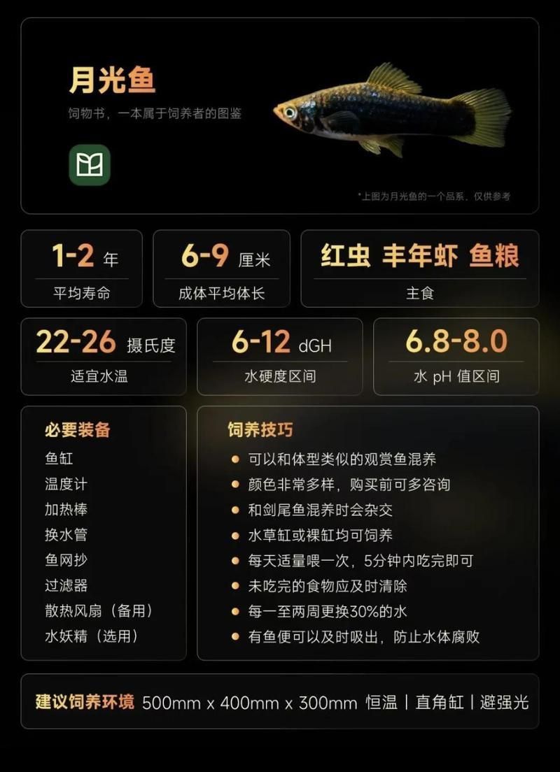 藍月光魚最忌三種東西