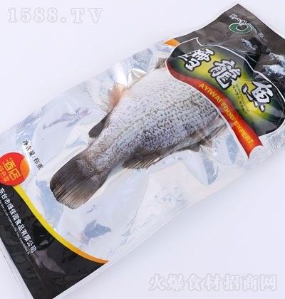 鱈龍魚百科