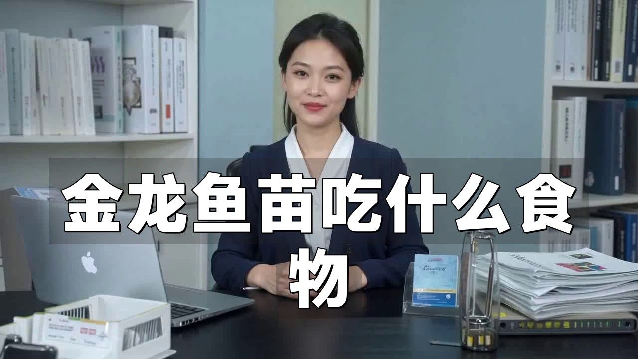 金龍魚苗怎么養長的快些 金龍魚苗怎么養長的快些 龍魚百科 第13張