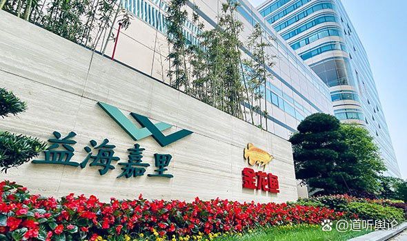 金龍魚上班怎么樣