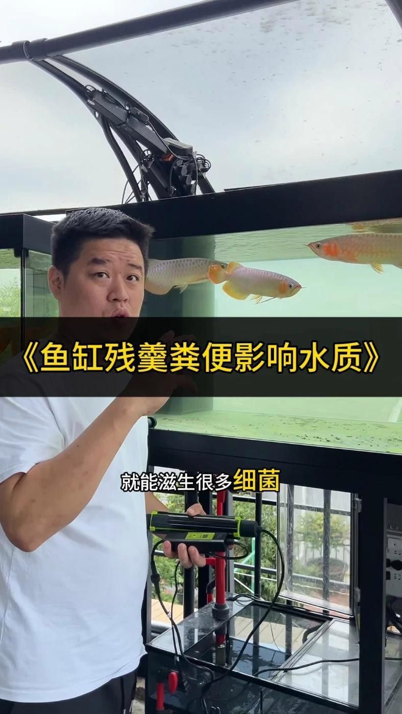 有哪些龍魚專用治療儀器