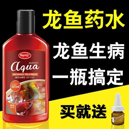 有哪些龍魚專用治療儀器