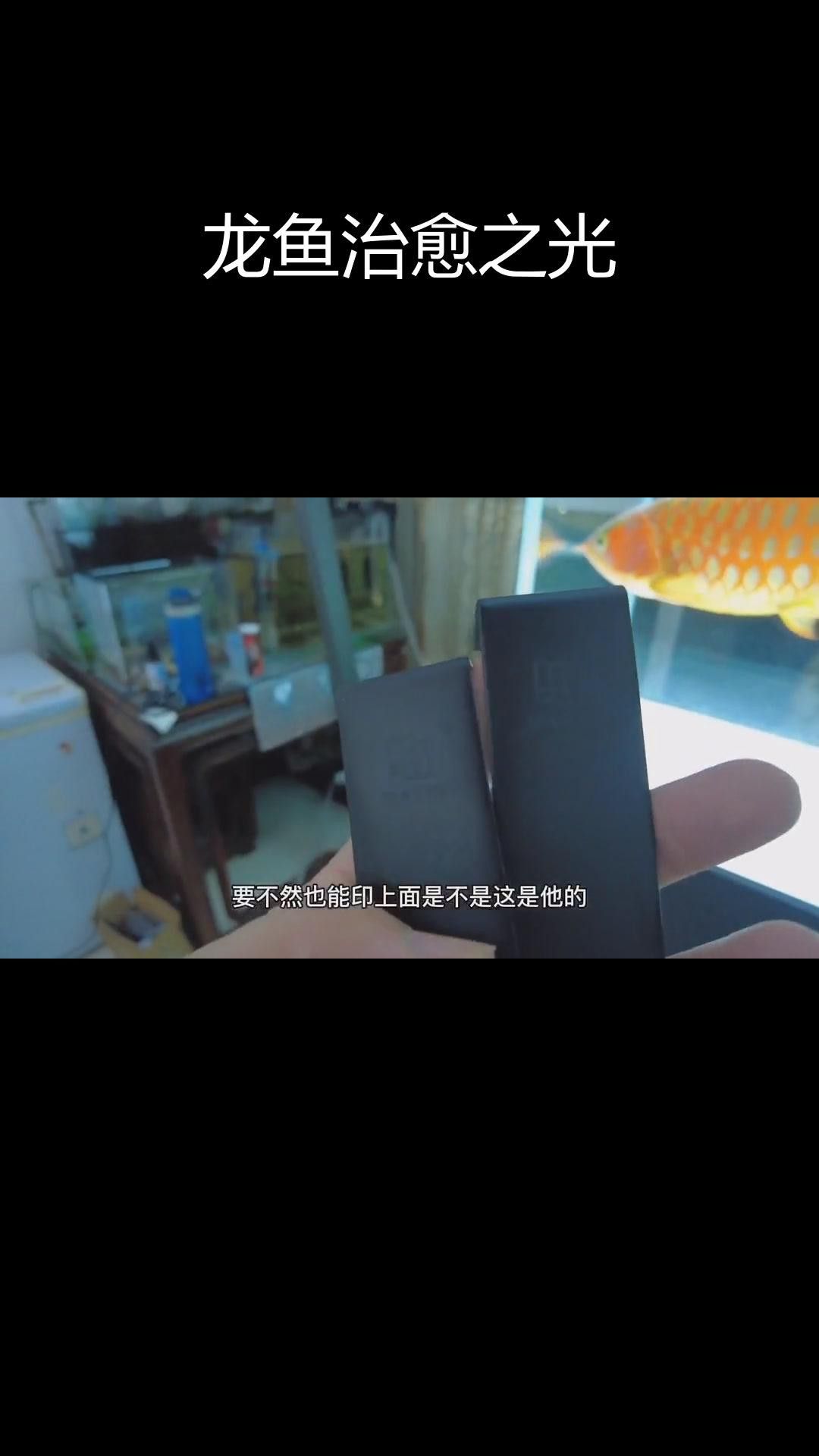 有哪些龍魚專用治療儀器