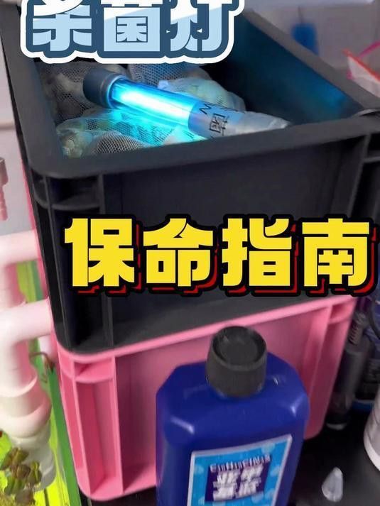 有哪些龍魚專用治療儀器